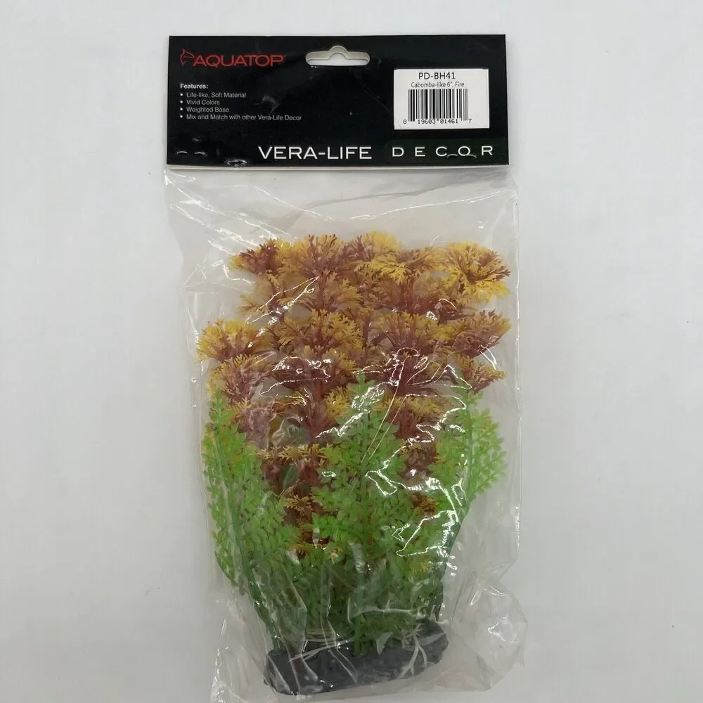 Veralife enhance aesthetic