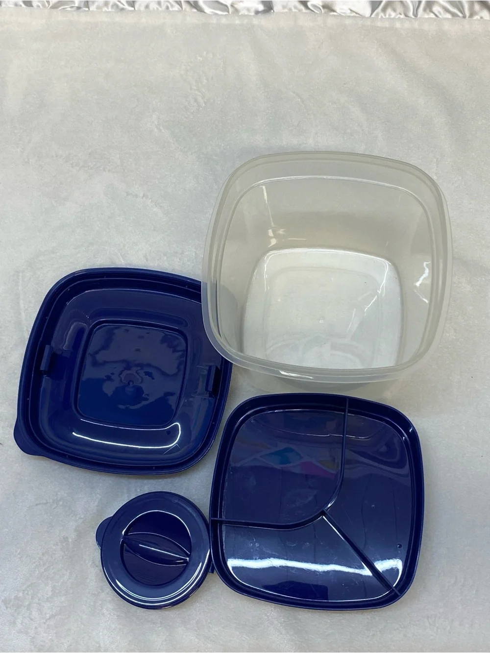 Fit & Fresh plastic sectional food storage container with a blue lid lunchbox
