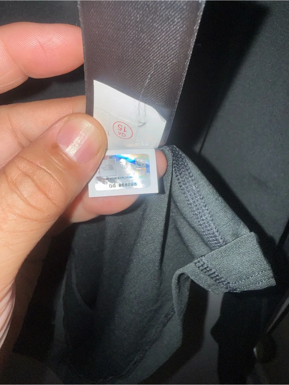 The North Face men pullover