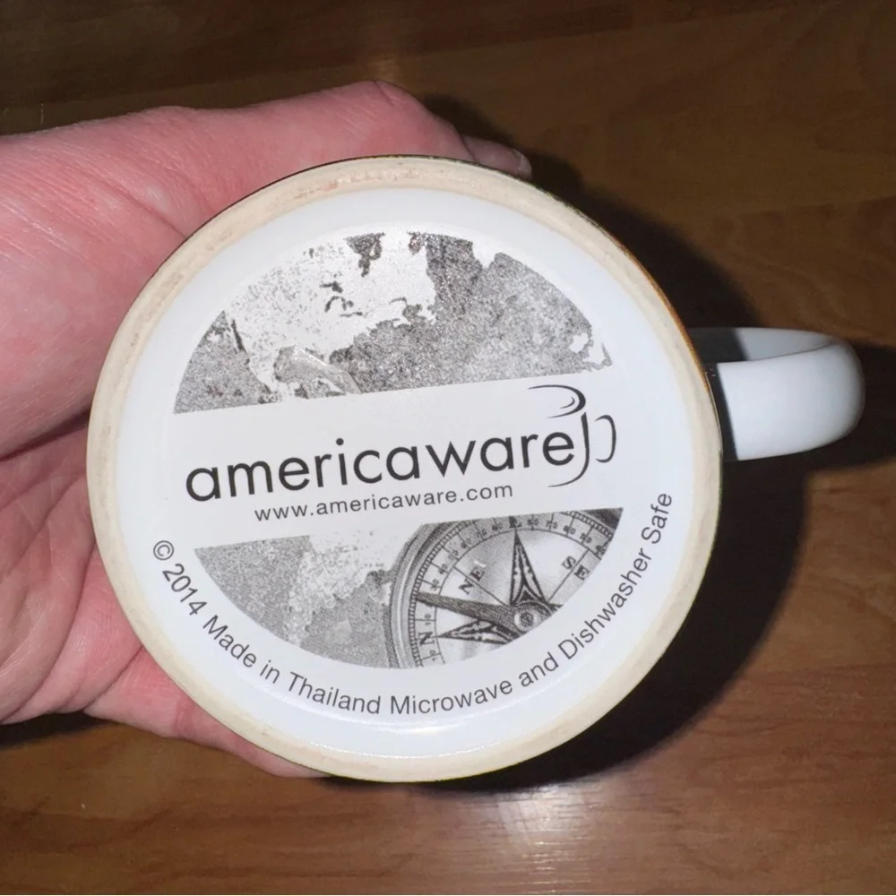 Americaware this mug