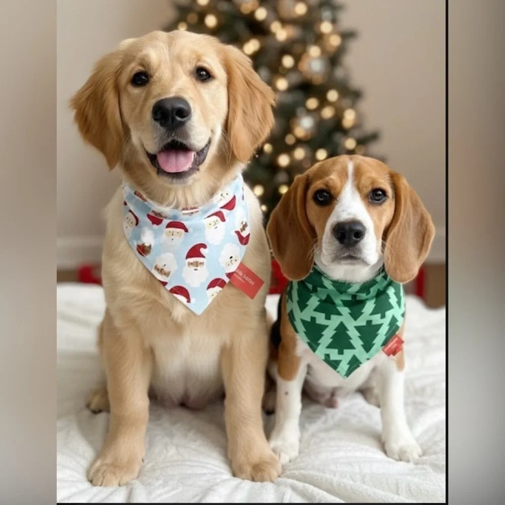 Holiday Lane Pet Bandana 2-Pack Christmas Santa & Trees Cotton L/XL