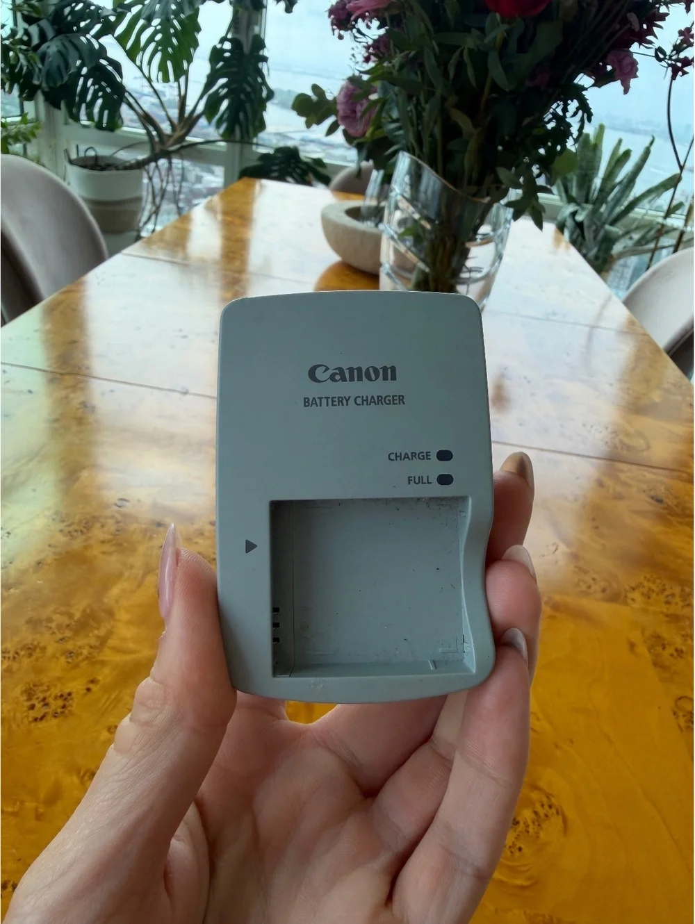 Canon battery chargers
