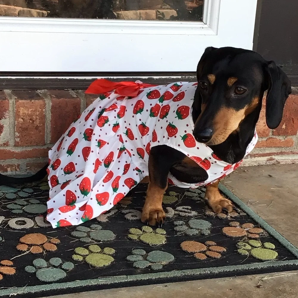 Cute Pretty Strawberry Print Lightweight Princess Dog Pet Dress