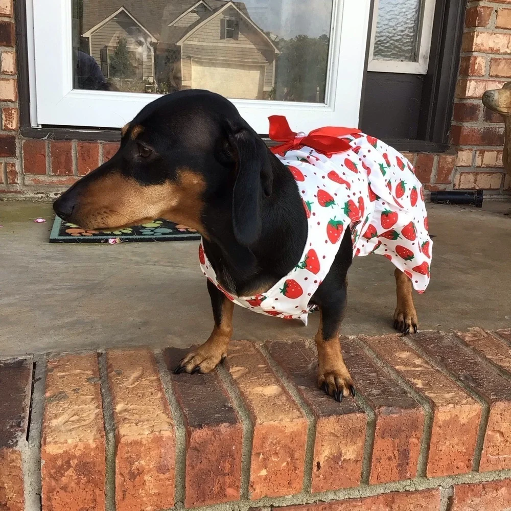 Cute Pretty Strawberry Print Lightweight Princess Dog Pet Dress