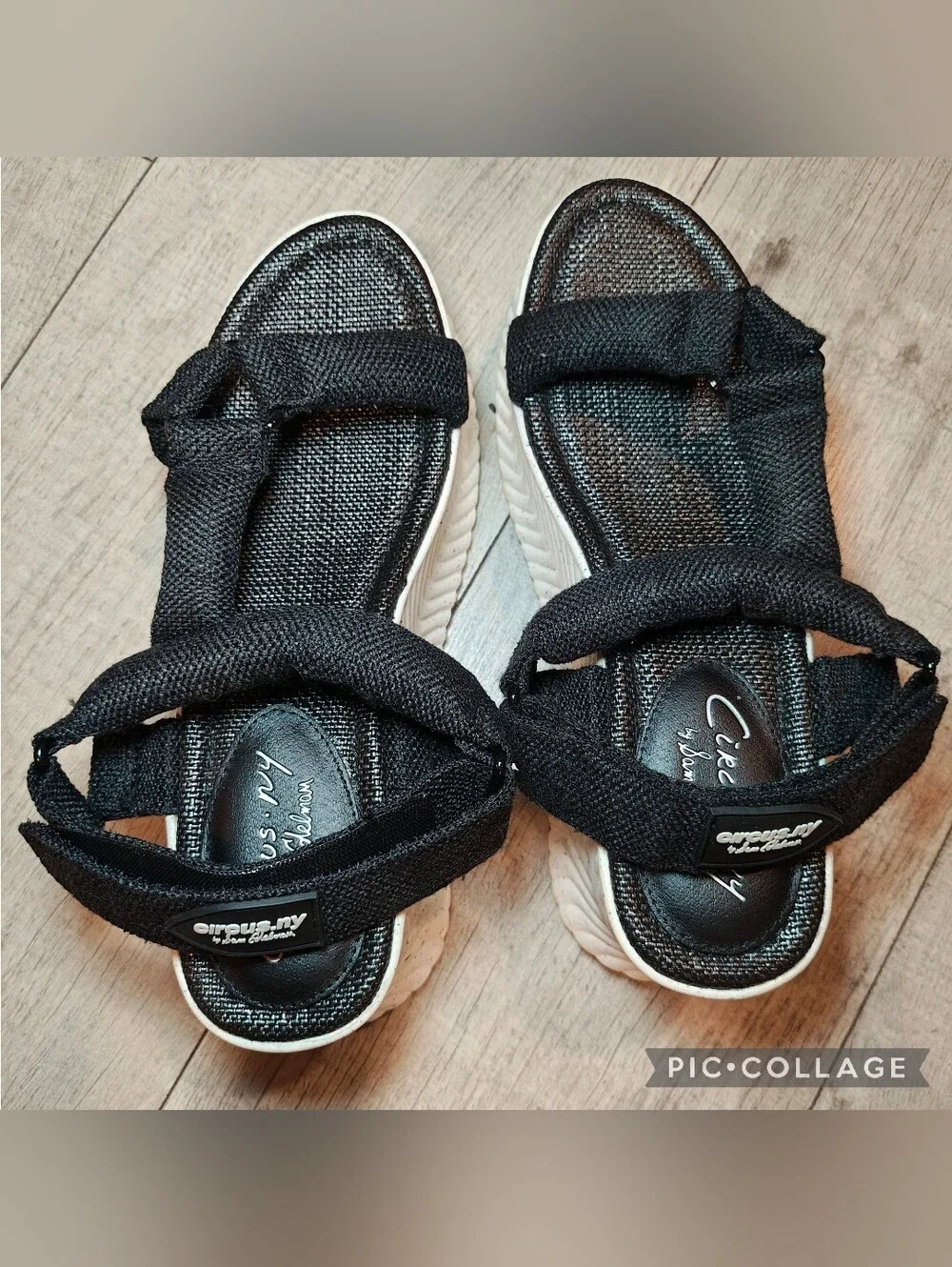Circus by Sam Edelman 🎪nwot circus