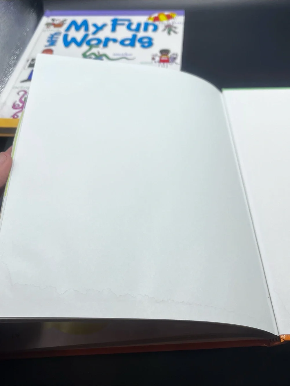 My Fun With Words these hardcover
