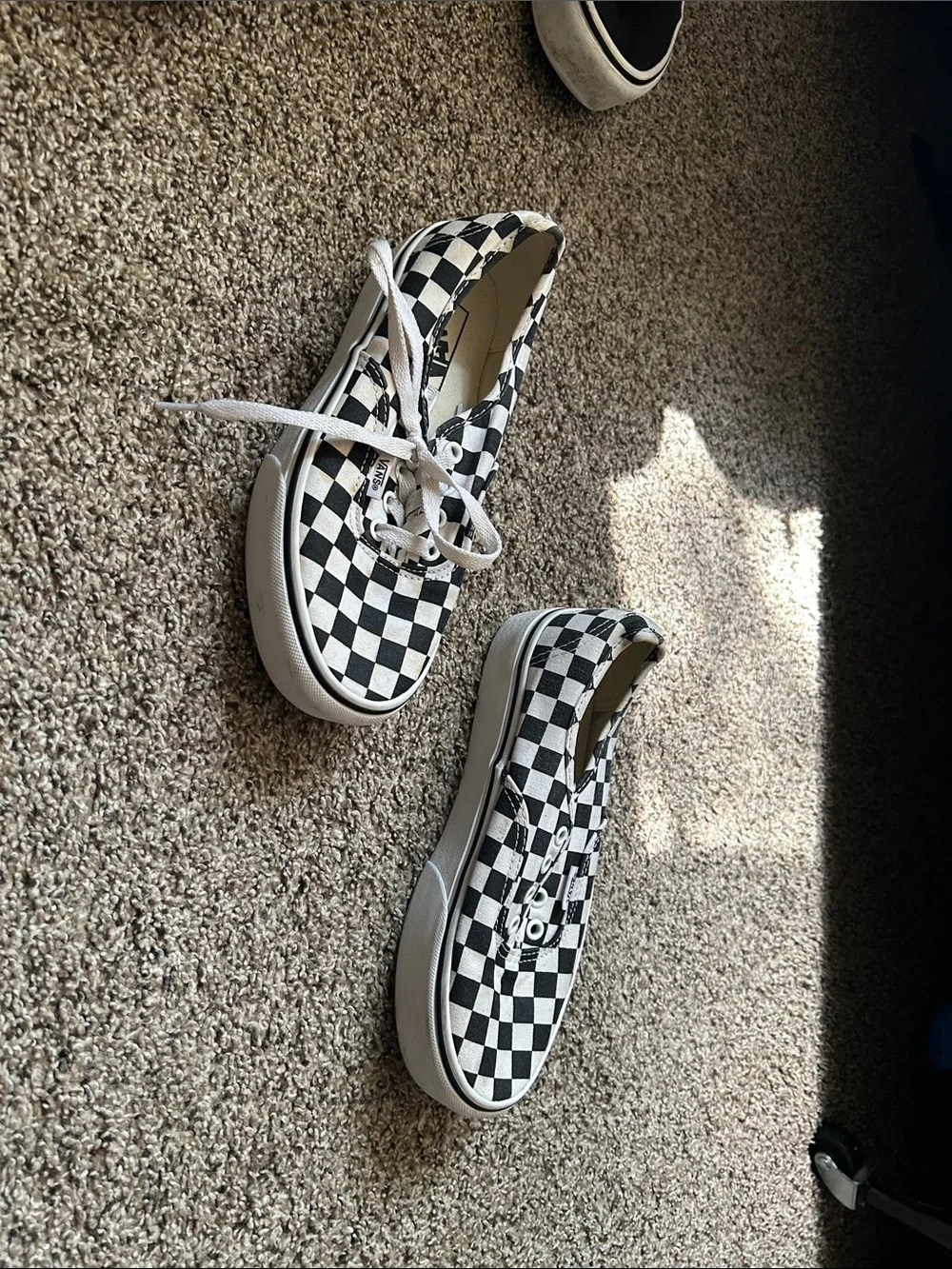 Vans Black and White Checkerboard Slip-On Sneakers