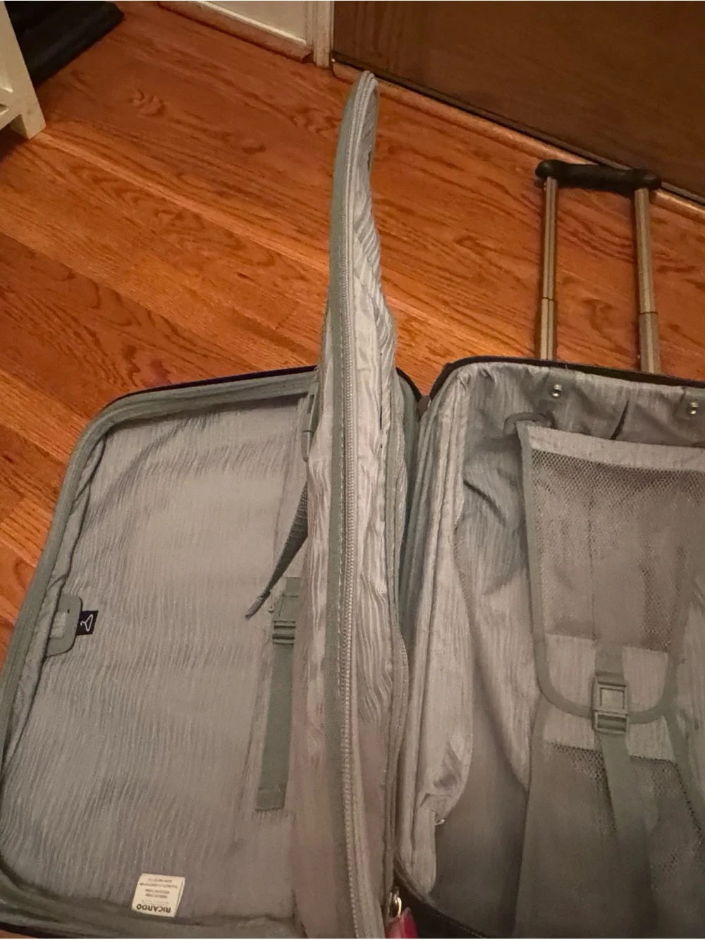Ricardo Black Carry-On Spinner Suitcase