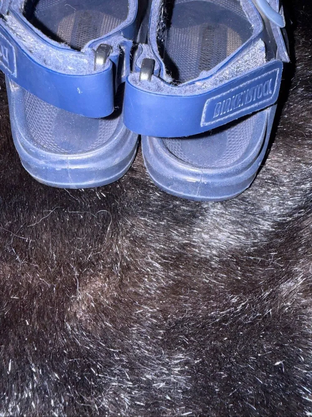 Milano Kids Eva Sandal BIRKENSTOCK dark blue 25 8 shoes