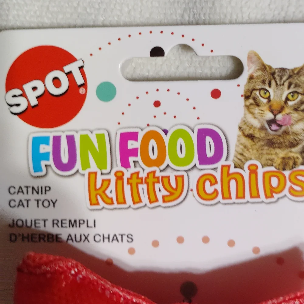 Fun food pet fun
