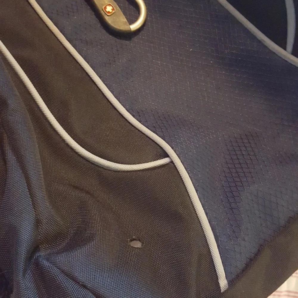 SwissGear Backpack