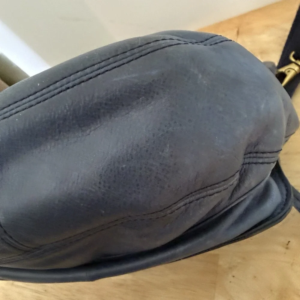 Fossil approximately 11