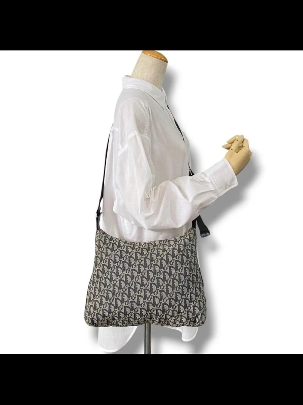 Dior iconic oblique