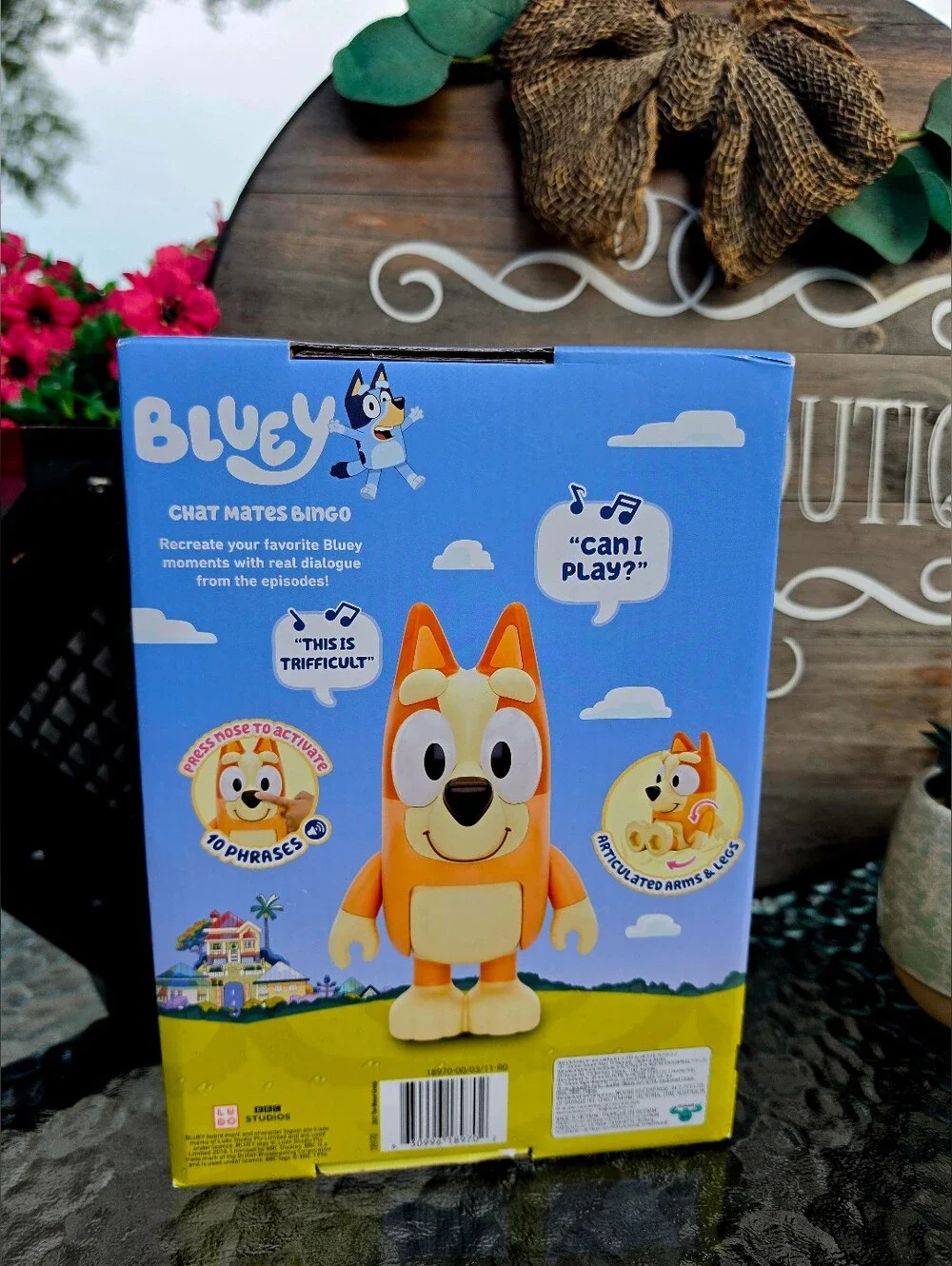 Bluey orange phrases simply