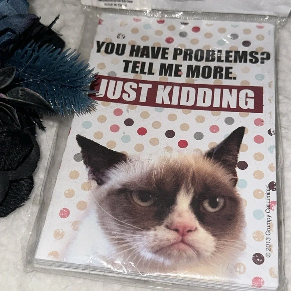 Grumpy Cat grumpy cat