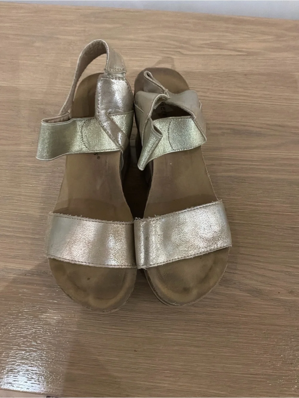 Pierre Dumas Metallic Gold Wedge Sandals