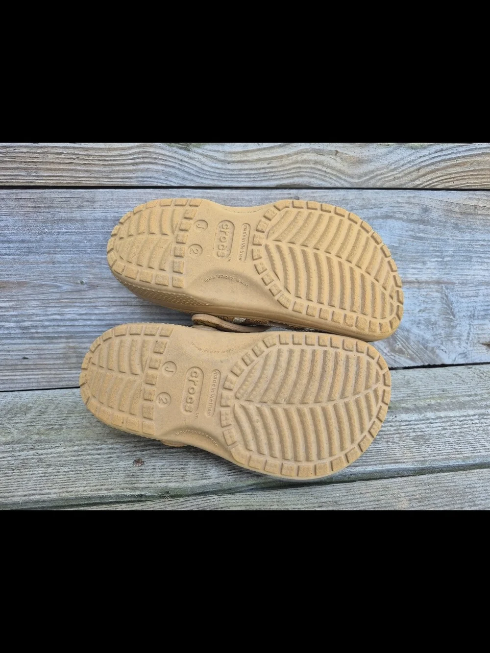 CROCS jurrasic park