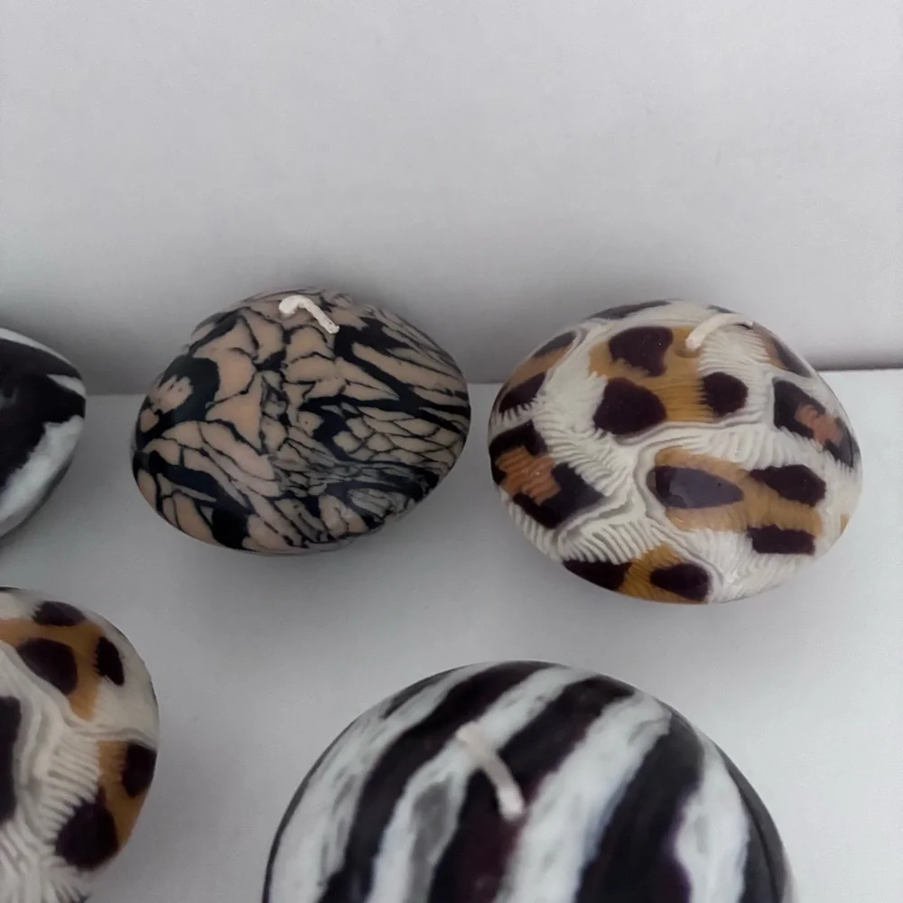 N/A snake zebra