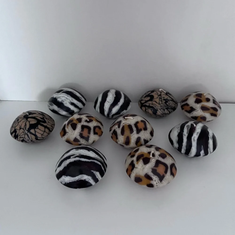 N/A snake zebra