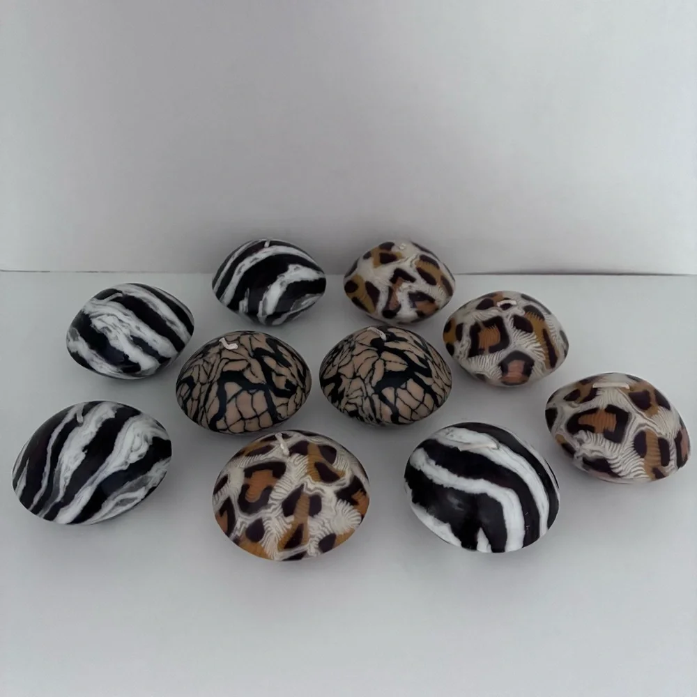 N/A snake zebra