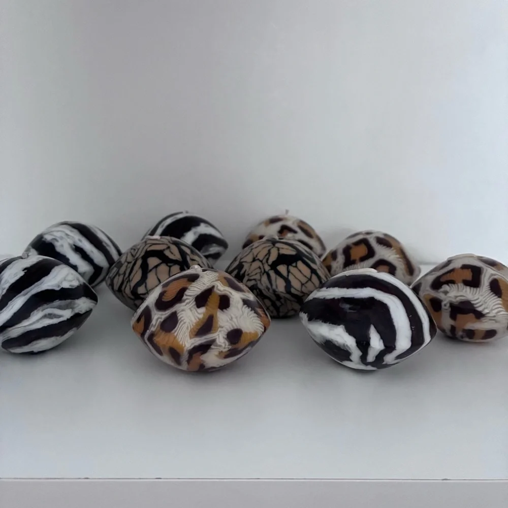 N/A snake zebra