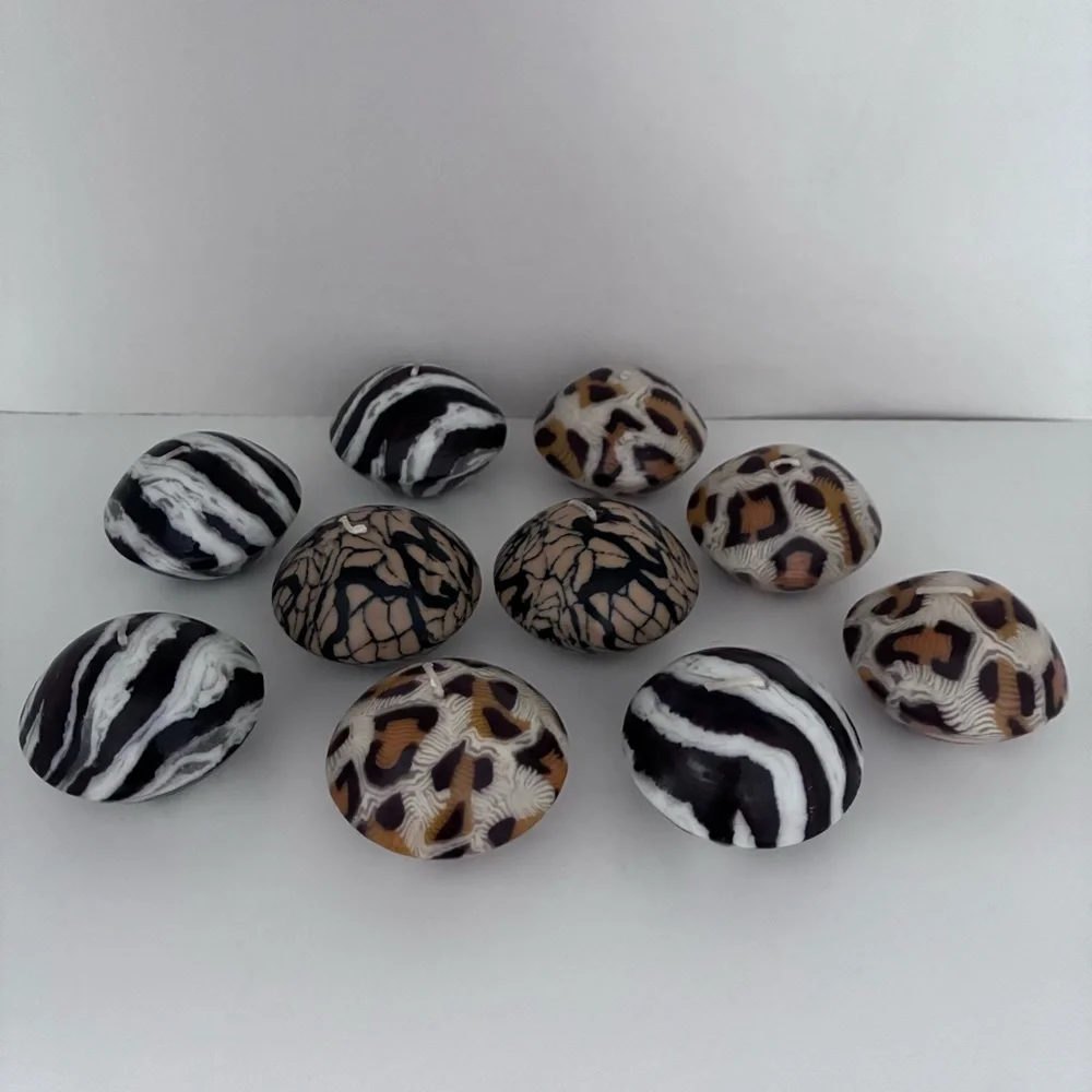 N/A snake zebra