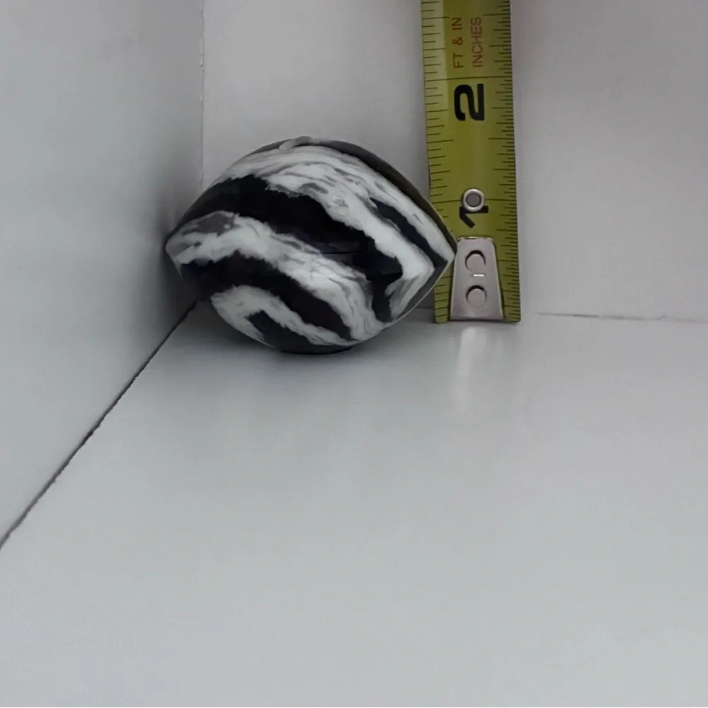 N/A snake zebra