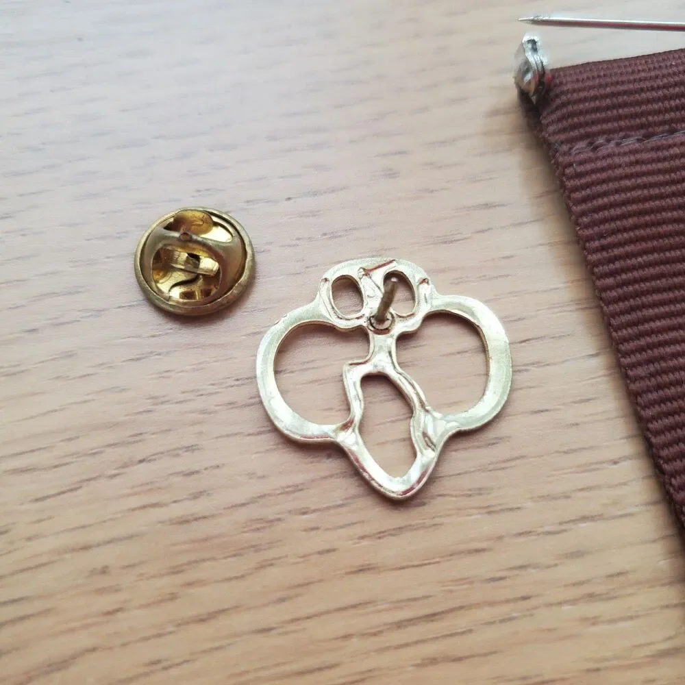 Vintage 90s Girl Scout Brownie Pin Set
