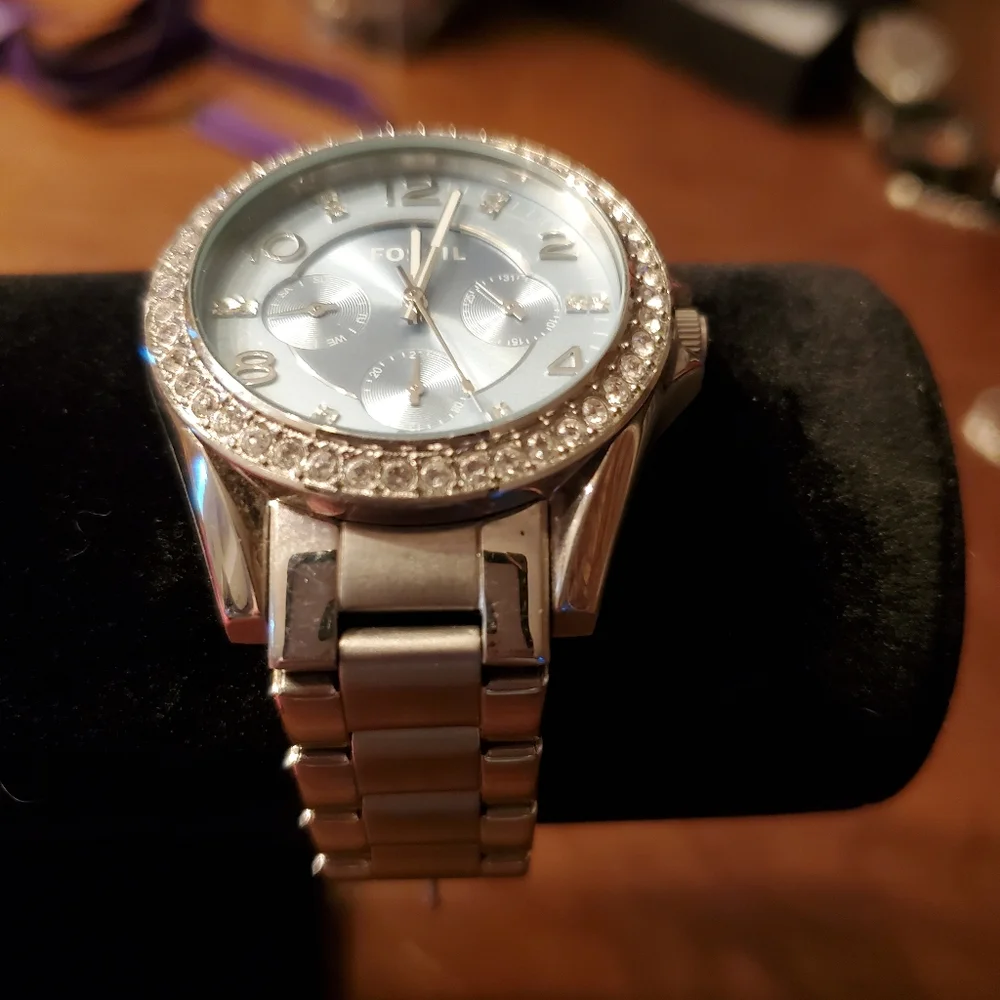 Fossil brush polished