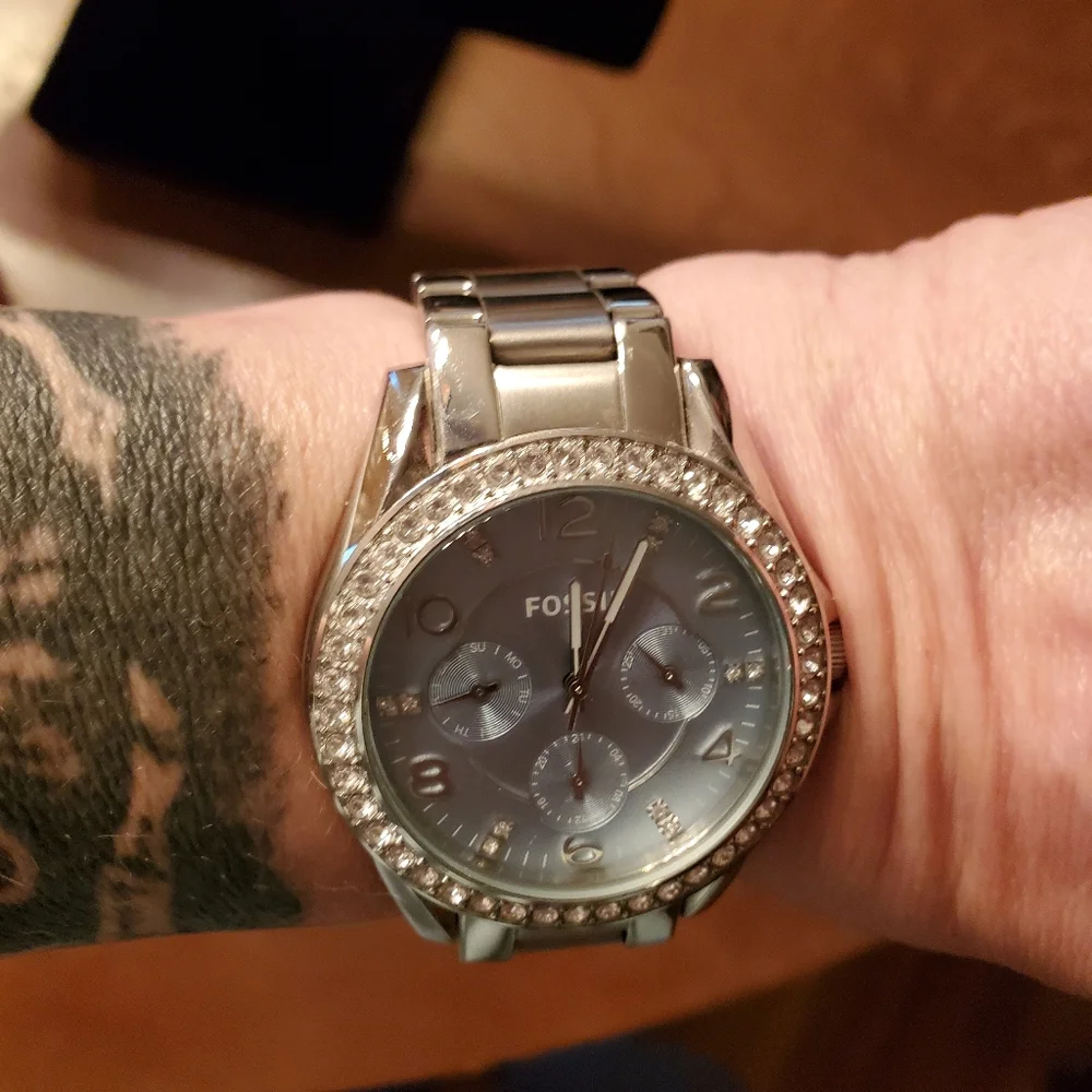 Fossil brush polished