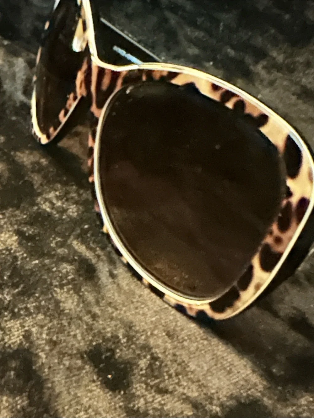 Dolce & Gabbana dolce gabbana