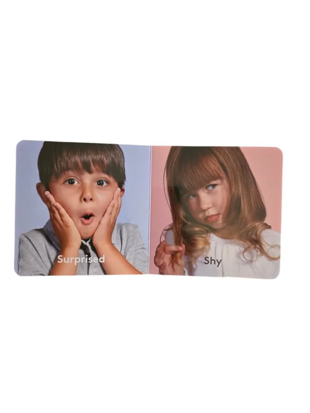 LOVEVERY board book