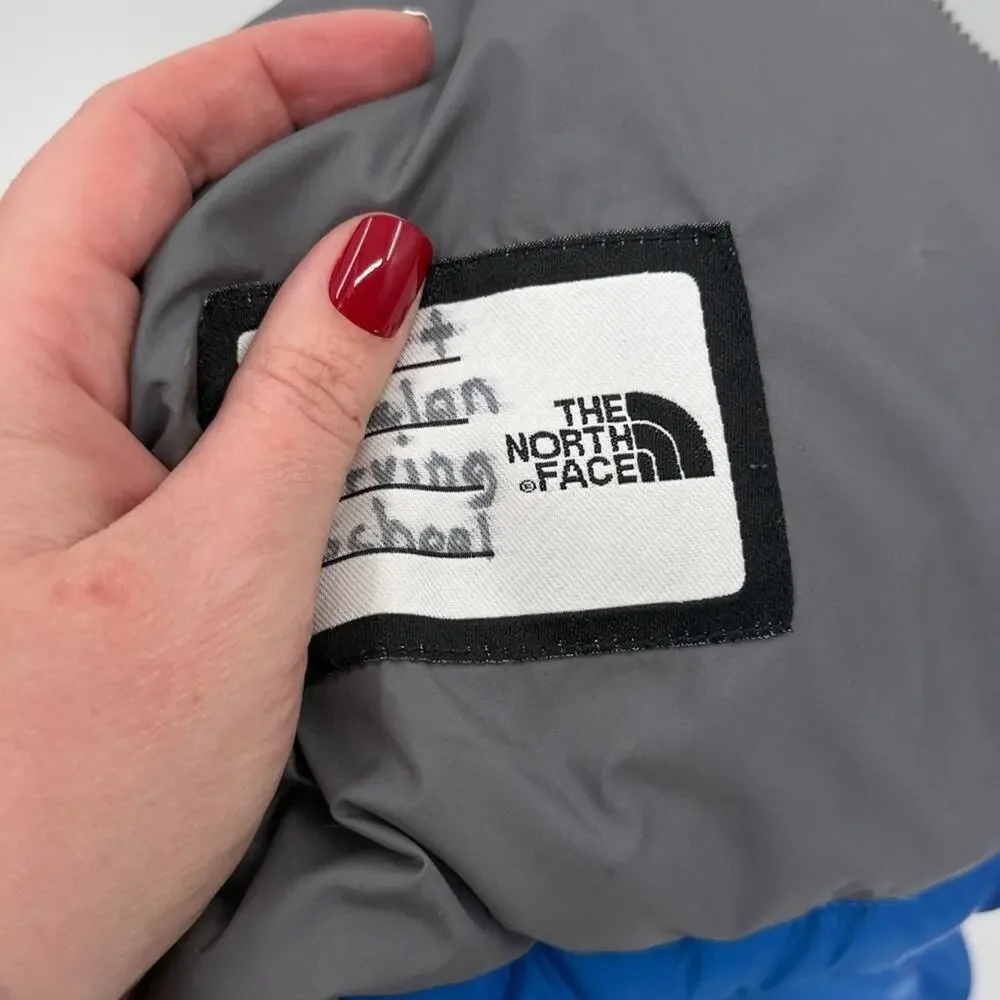 The North Face north face