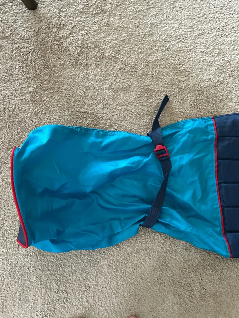Sport graphics vintage ski travel bag with handles navy turquoise red