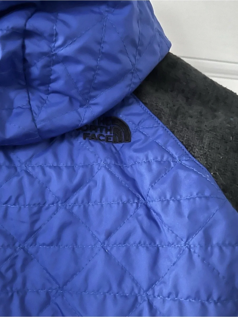 The North Face north face