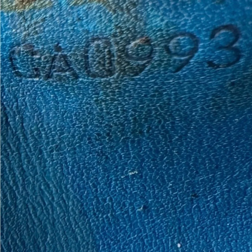 Louis Vuitton authentic louis