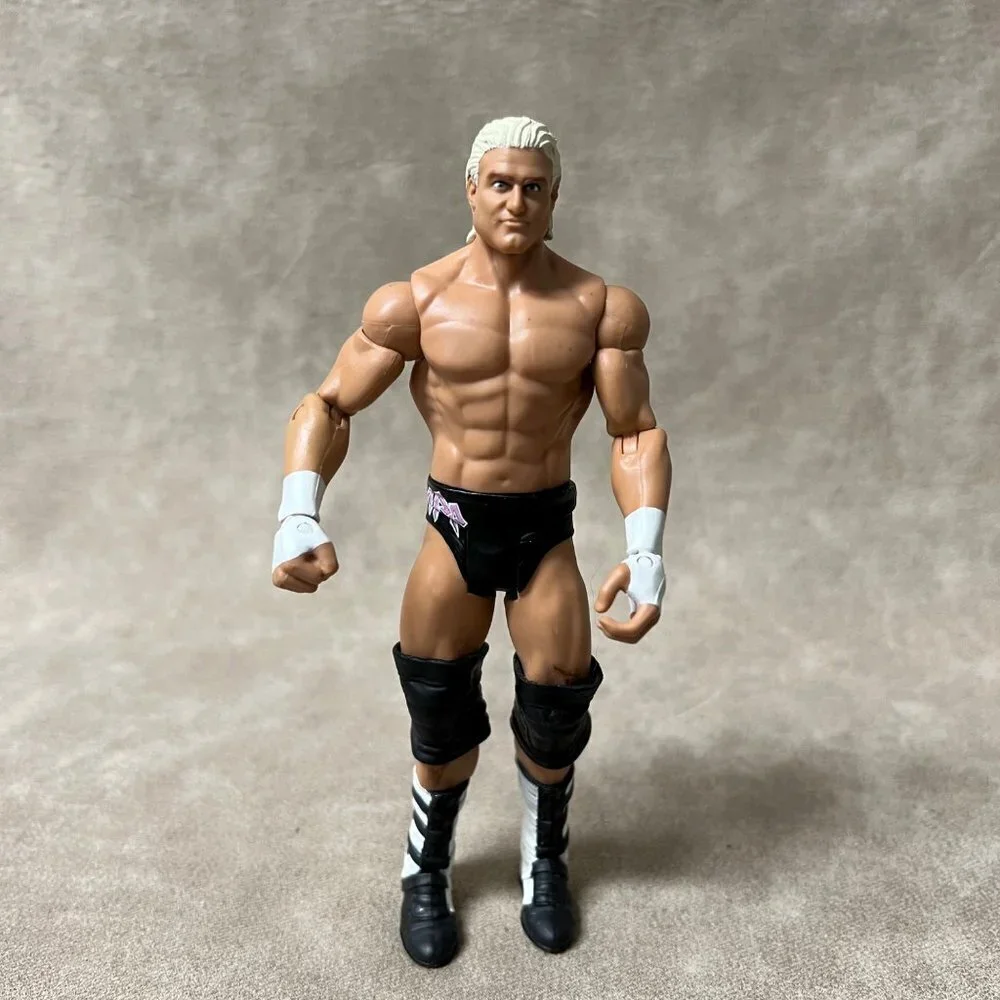 WWE Dolph Ziggler Action Figure, Wrester 2011 Mattel