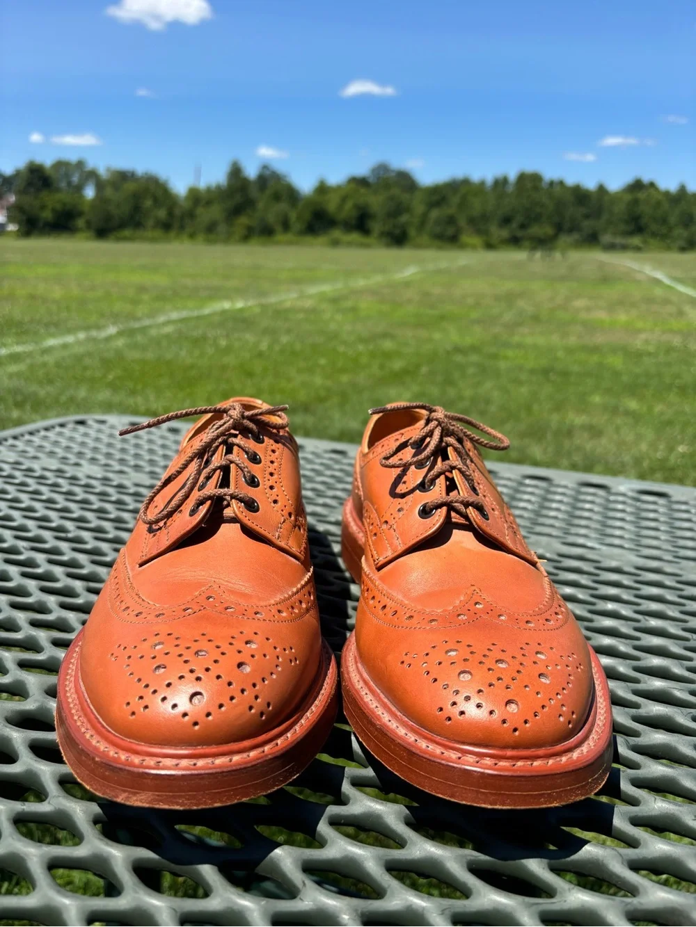 Burberry brown leather