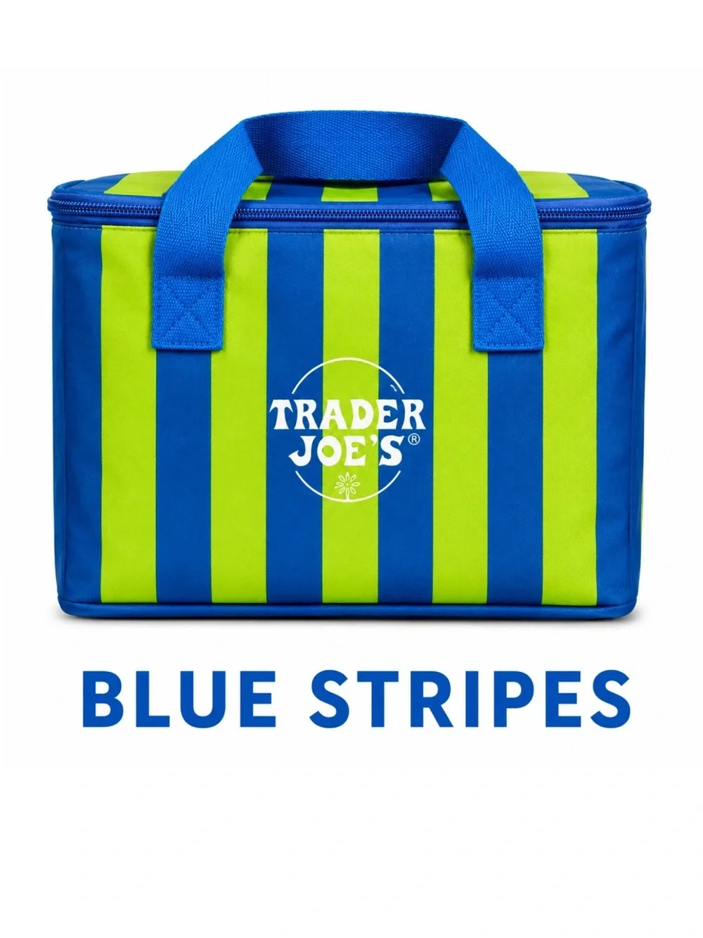 Trader Joe's Blue Green Stripes Mini Insulated Lunch Bag