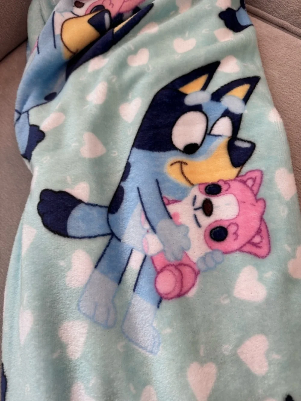 Bluey ship same