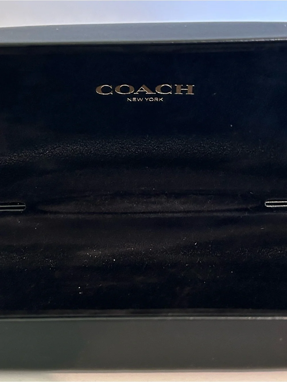 Coach style dark lenses