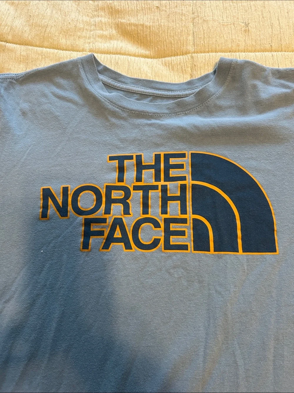 The North Face classic short