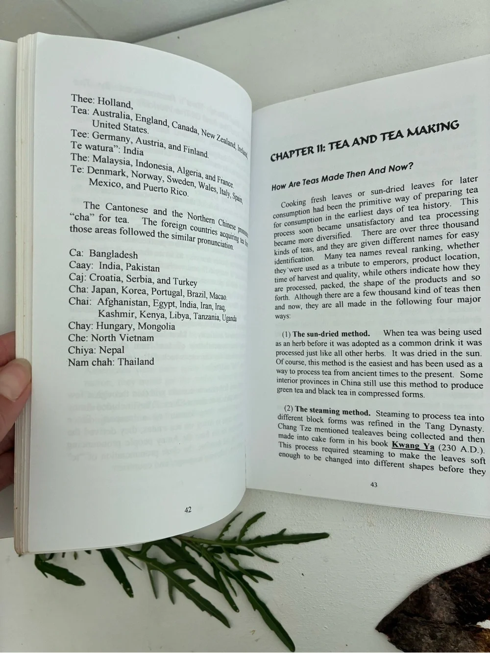 What's in a Cup of Tea – Decorative Coffee Table Book (Green, Brown)