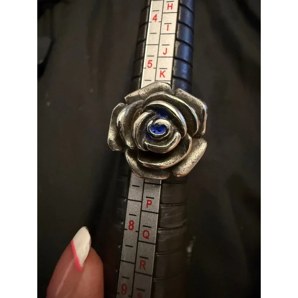 Spikes stainless steel