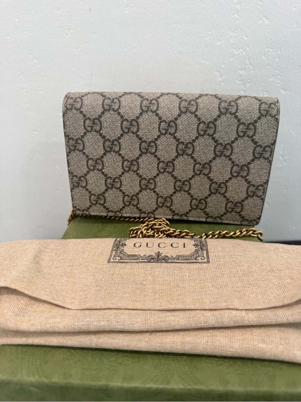 Gucci gg supreme