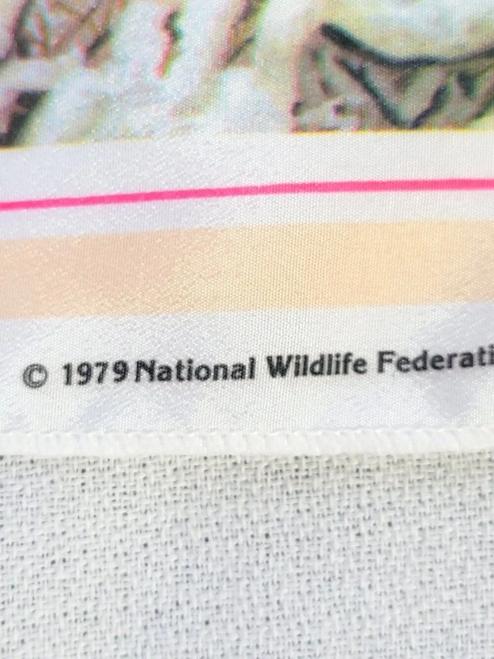 National Wildlife Federation beautiful highly