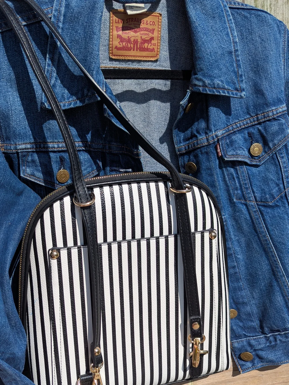 Mystique Boutique convertible bag