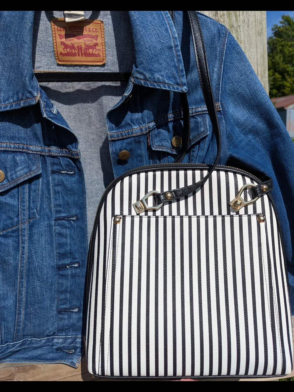 Mystique Boutique convertible bag
