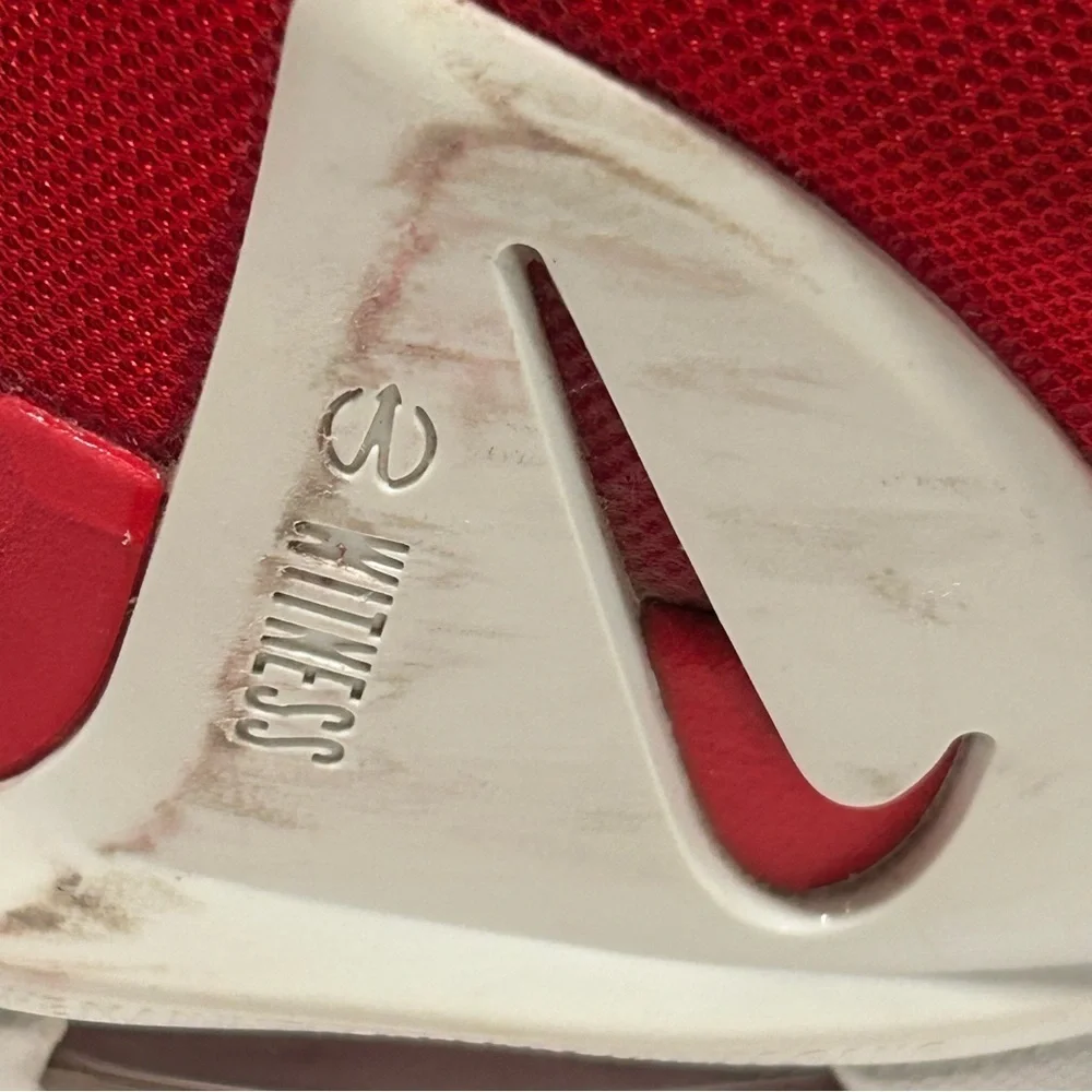 Nike lebron witness