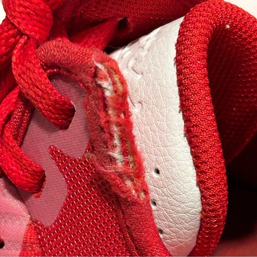 Nike lebron witness